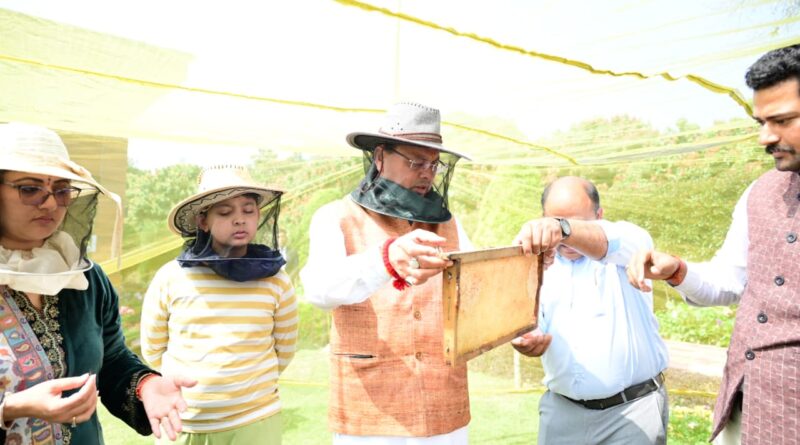 मुख्यमंत्री आवास परिसर में मंगलवार को शहद निष्कासन कार्य किया गया।