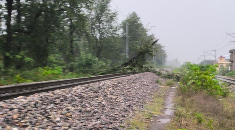 ऋषिकेश में आंधी का कहर: रेलवे ट्रैक पर गिरा विशाल पेड़, 25 हजार वोल्ट की इलेक्ट्रिक लाइन टूटी